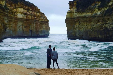 Great Ocean Road Small-Group Ecotour From Melbourne - Sydney Tourism 1
