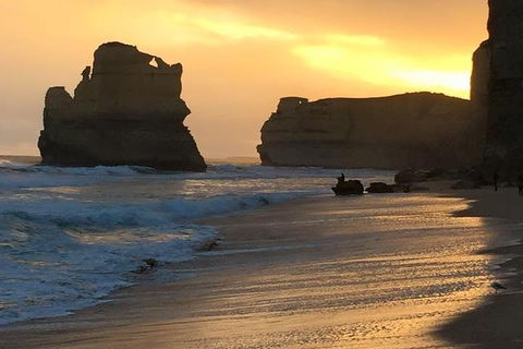 Great Ocean Road Small-Group Ecotour From Melbourne - Sydney Tourism 5
