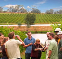 Yarra Valley Wine and Winery Tour from Melbourne - Sydney Tourism