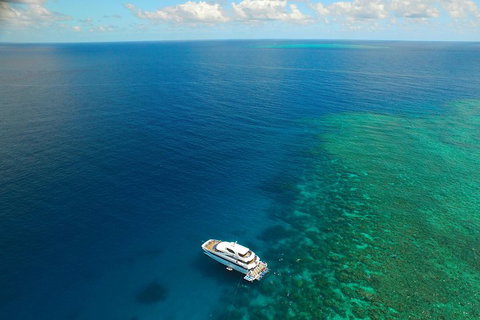 Great Barrier Reef Snorkeling And Diving Cruise From Cairns - Sydney Tourism 4