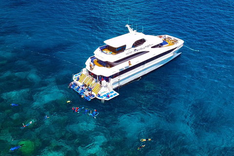 Great Barrier Reef Snorkeling And Diving Cruise From Cairns - Sydney Tourism 5
