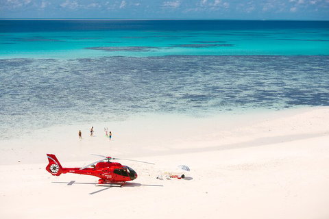 Private Helicopter Tour: Reef Island Snorkeling And Gourmet Picnic Lunch - Sydney Tourism 2