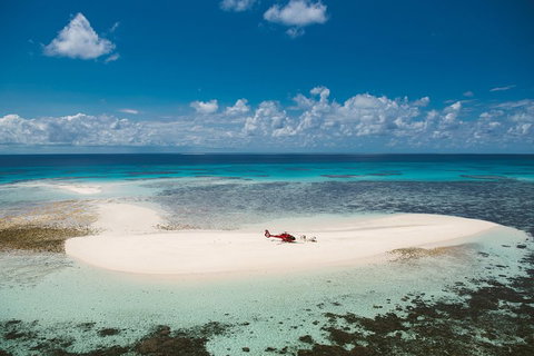 Private Helicopter Tour: Reef Island Snorkeling And Gourmet Picnic Lunch - Sydney Tourism 4