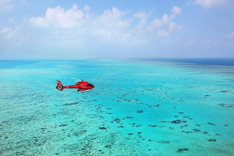 Great Barrier Reef 30-Minute Scenic Helicopter Tour From Cairns - Sydney Tourism 2