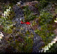 Ultimate Great Barrier Reef and Rainforest 45-minute Helicopter Tour - Sydney Tourism