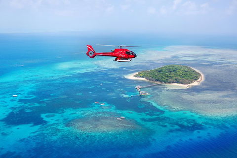Ultimate Great Barrier Reef And Rainforest 45-minute Helicopter Tour - Sydney Tourism 4