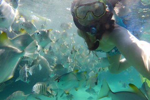 2-Day Moreton Island 4WD Camping Tour From Brisbane - Sydney Tourism 0