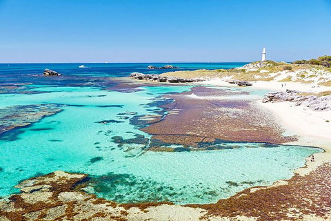 Perth To Rottnest Island Roundtrip Ferry Ticket - Sydney Tourism 2