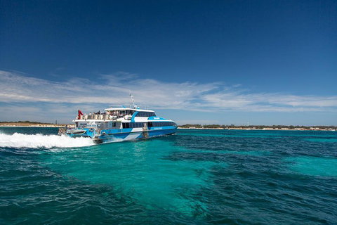 Perth To Rottnest Island Roundtrip Ferry Ticket - Sydney Tourism 4
