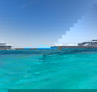 Rottnest Island Bayseeker Day Trip from Perth - Sydney Tourism