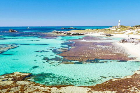 Rottnest Island Bayseeker Day Trip From Perth - Sydney Tourism 4