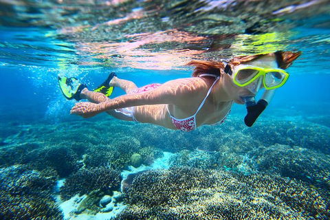 Abrolhos Islands Scenic Flight & Snorkel Adventure From Perth - Sydney Tourism 1