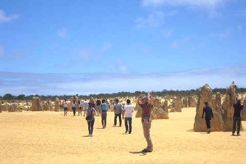Pinnacles & Rottnest Island Scenic Air & Ground Tour - Sydney Tourism 3