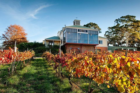 Adelaide Hills Food, Wine, Cheese, & Chocolate - Private Day Tour - Sydney Tourism 3