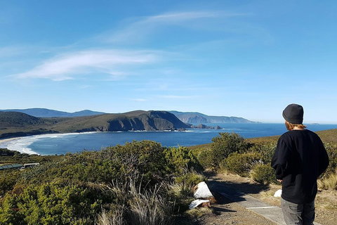 Small-Group Day Trip From Hobart To Bruny Island - Sydney Tourism 0
