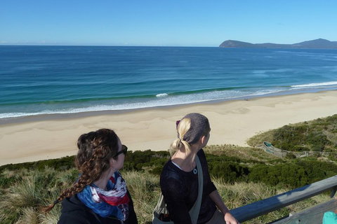 Small-Group Day Trip From Hobart To Bruny Island - Sydney Tourism 3