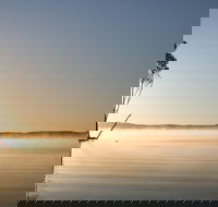 Serenity Cruise to Australia's Everglades - Sydney Tourism