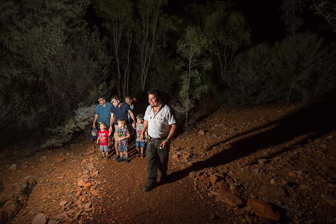 Alice Springs Desert Park Nocturnal Tour - Sydney Tourism 0