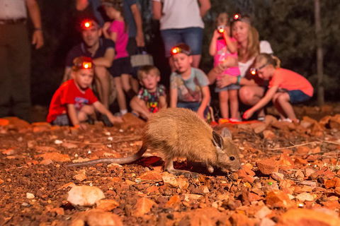 Alice Springs Desert Park Nocturnal Tour - Sydney Tourism 1