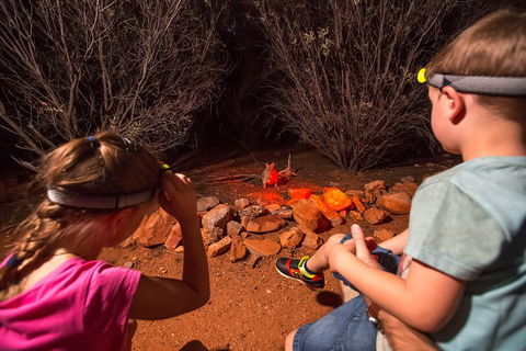 Alice Springs Desert Park Nocturnal Tour - Sydney Tourism 4