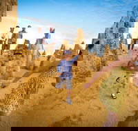 Full-Day Pinnacles Desert and Yanchep National Park Tour From Perth - Sydney Tourism