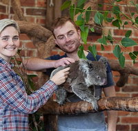 Private Tour Blue Mountains Day Trip from Sydney - Sydney Tourism