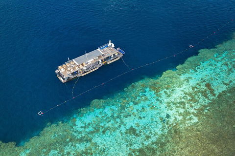 Great Barrier Reef Day Cruise To Reefworld - Sydney Tourism 2