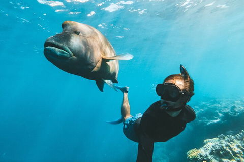 Great Barrier Reef Day Cruise To Reefworld - Sydney Tourism 3