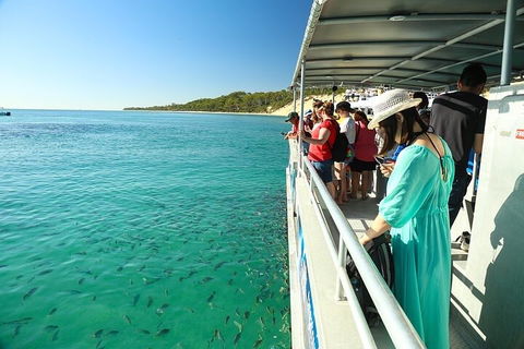 Adventure Moreton Island Wrecks Adventure Package - Sydney Tourism 1