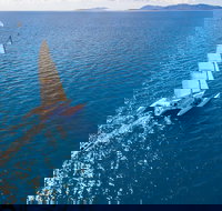 2-Night Whitsunday Islands Sailing Adventure on Trimaran Avatar - Sydney Tourism