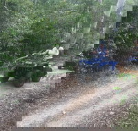 Cairns ATV Adventure Tour and Morning Train - Sydney Tourism