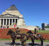 Private Half Day Melbourne City Tour with Local guide - Sydney Tourism