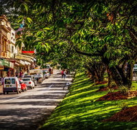 Fully Inclusive Blue Mountains Private Tour inc Scenic World  Featherdale entry - Sydney Tourism