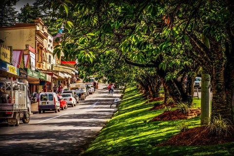 Fully Inclusive Blue Mountains Private Tour Inc Scenic World & Featherdale Entry - Sydney Tourism 0