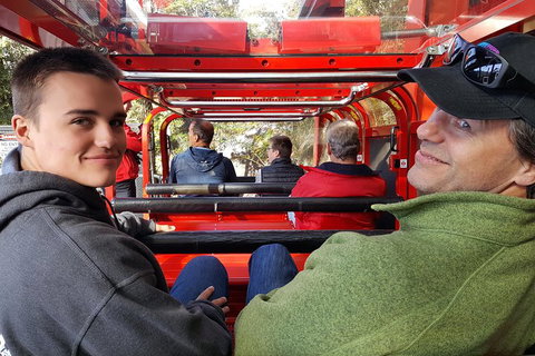 Fully Inclusive Blue Mountains Private Tour Inc Scenic World & Featherdale Entry - Sydney Tourism 1