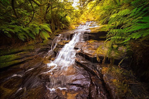 Fully Inclusive Blue Mountains Private Tour Inc Scenic World & Featherdale Entry - Sydney Tourism 3