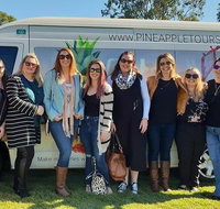 Full Day Mount Tamborine Winery Tour from Gold Coast