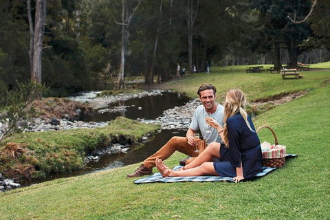 Mt Tamborine - Hinterland Wonders Self Guided - Sydney Tourism 0