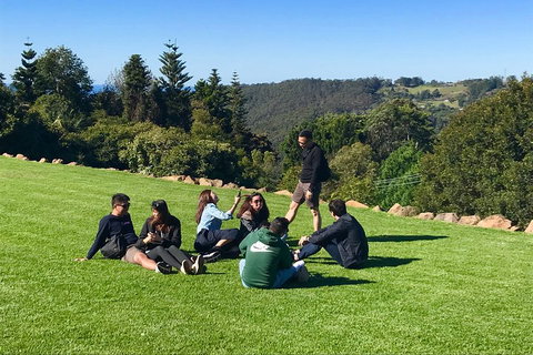 Mt Tamborine - Hinterland Wonders Self Guided - Sydney Tourism 1