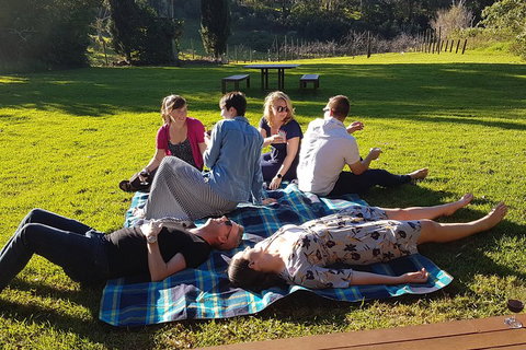 Mt Tamborine - Hinterland Wonders Self Guided - Sydney Tourism 2