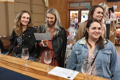 Mt Tamborine - Hinterland Wonders Self Guided - Sydney Tourism 3