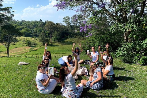 Mt Tamborine - Hinterland Wonders Self Guided - Sydney Tourism 5