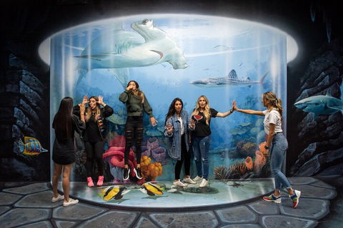 ArtVo Immersive Gallery Experience - Sydney Tourism 2