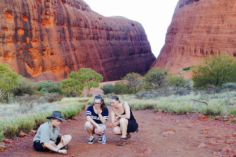 Afternoon Kata Tjuta Small Group Tour - Sydney Tourism 2
