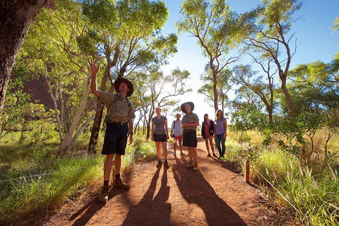 Uluru Small Group Tour Including Sunset - Sydney Tourism 0