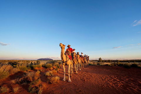 Uluru Small-Group Tour By Camel At Sunrise Or Sunset - Sydney Tourism 3
