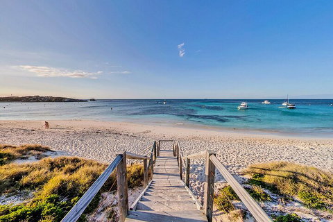Discover Rottnest With Ferry & Bus Tour From Perth Or Fremantle - Sydney Tourism 4
