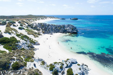 Discover Rottnest With Ferry & Bus Tour From Perth Or Fremantle - Sydney Tourism 5