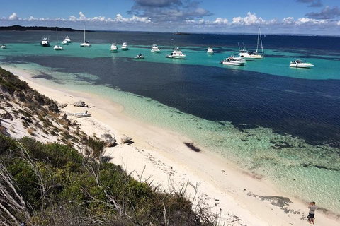 Experience Rottnest With Ferry & Bike Hire From Perth Or Fremantle - Sydney Tourism 0
