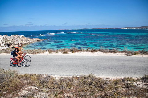 Experience Rottnest With Ferry & Bike Hire From Perth Or Fremantle - Sydney Tourism 2